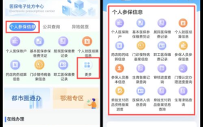 齐齐哈尔医保查询系统使用指南