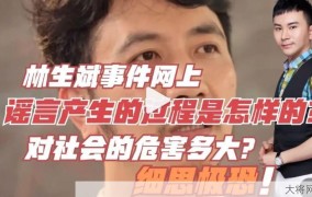 林生斌事件概括及对社会的影响是什么？