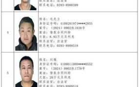 如何查询老赖黑名单，避免交易风险？