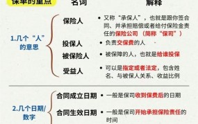 投保人和被保人区别是什么？保险合同解读