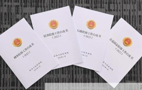 最高检未检工作白皮书发布，揭示哪些要点？