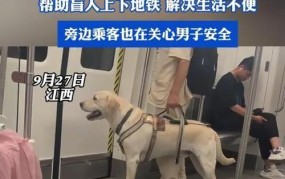 为何盲人带导盲犬会被拒绝？法律如何规定？