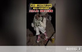 景区无人机砸伤游客事件后续如何？有哪些教训？