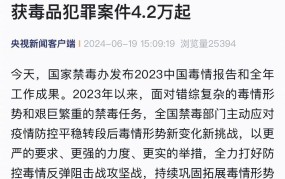 严打是哪一年开始的？有哪些主要成果？