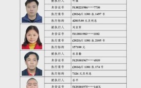 全国法院被执行人查询有哪些途径？