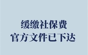 缓交是什么意思？有哪些适用条件？