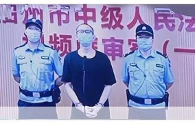 吴谢宇案律师称二审将申请精神鉴定，这是出于什么考虑？