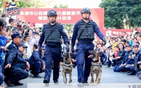 深圳市公安局交警局提供哪些服务？如何联系？