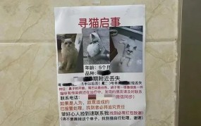 两个小孩偷走宠物店猫咪如何处理？法律后果是什么？