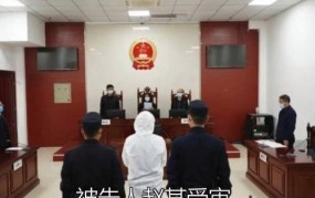 河北男子婚内强奸妻子获刑8个月，如何从法律角度解读？