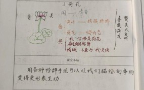 荷花教学设计技巧，如何提高学生兴趣？