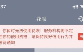 花呗暂时无法使用怎么办？有哪些替代方案？