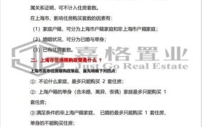 上海购房限购政策是什么？如何理解与应对？