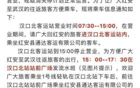 武汉客运站停运原因解析，何时恢复正常运营？