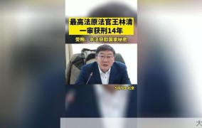 王林清一审获刑14年：曾窃取卷宗的后果是什么？