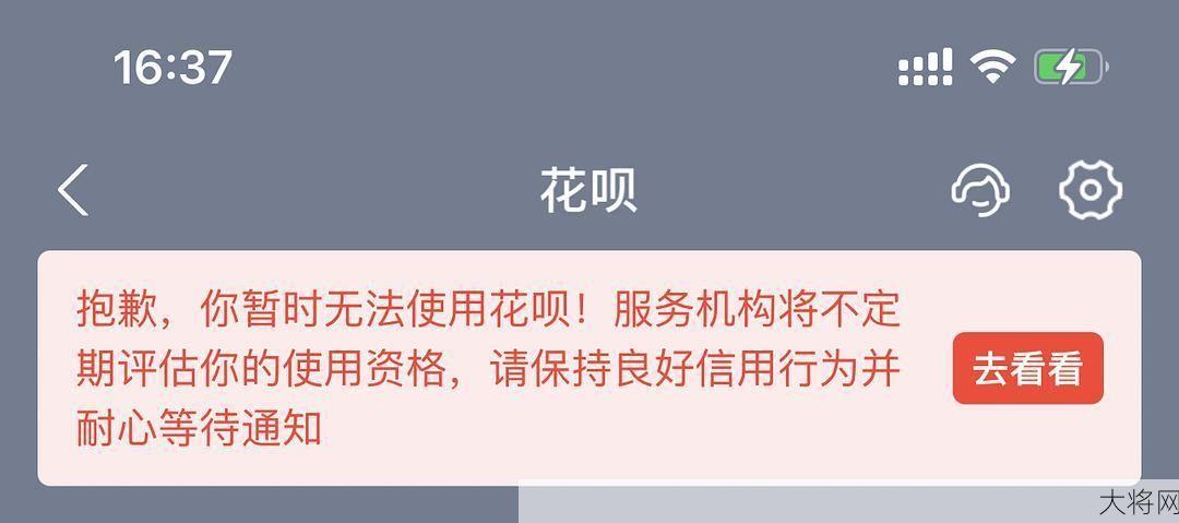 花呗暂时无法使用怎么办？有哪些替代方案？-大将网