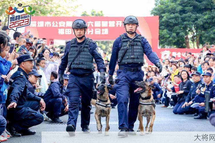 深圳市公安局交警局提供哪些服务？如何联系？-大将网