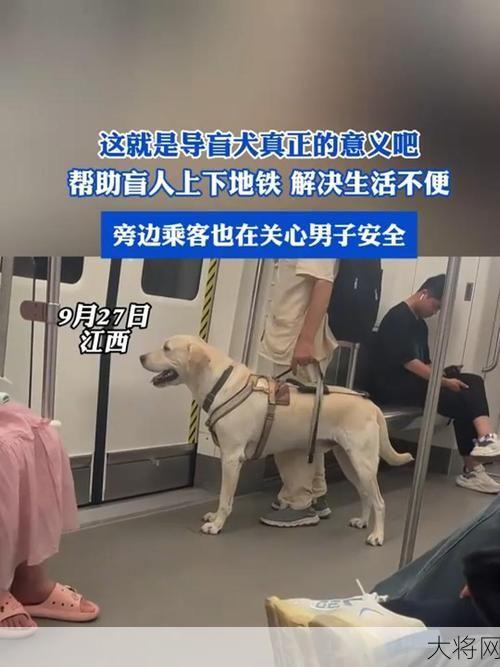 为何盲人带导盲犬会被拒绝？法律如何规定？-大将网