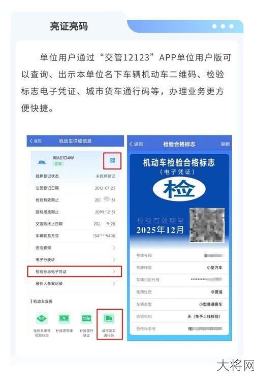 使用12123如何快速查看行驶证信息？操作步骤是怎样的？-大将网