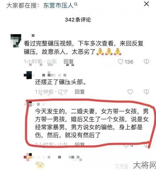 男子开车碾压妻子如何定罪？有哪些法律依据？-大将网