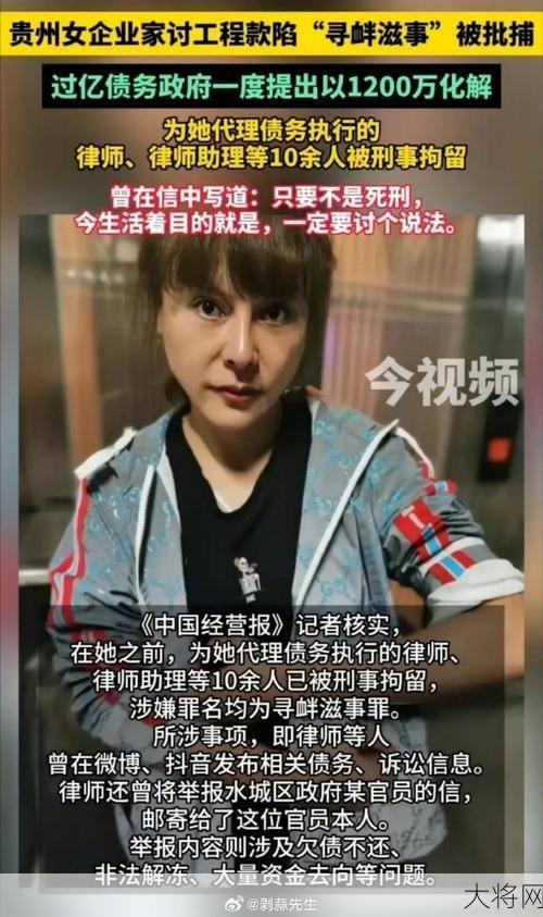 贵州女企业家讨款被捕，调查组成立细节曝光？-大将网