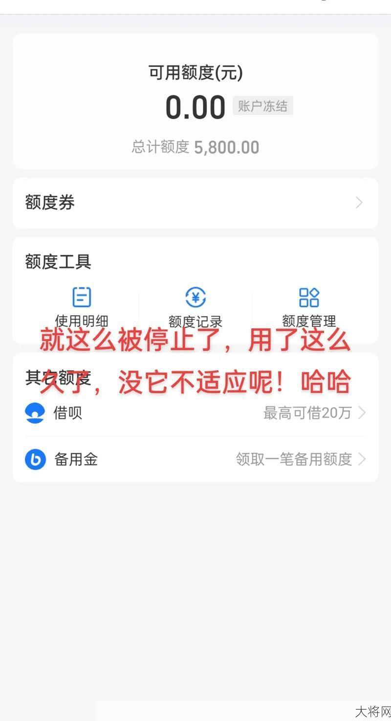 花呗额度不足无法付款给商家，原因及解决办法-大将网