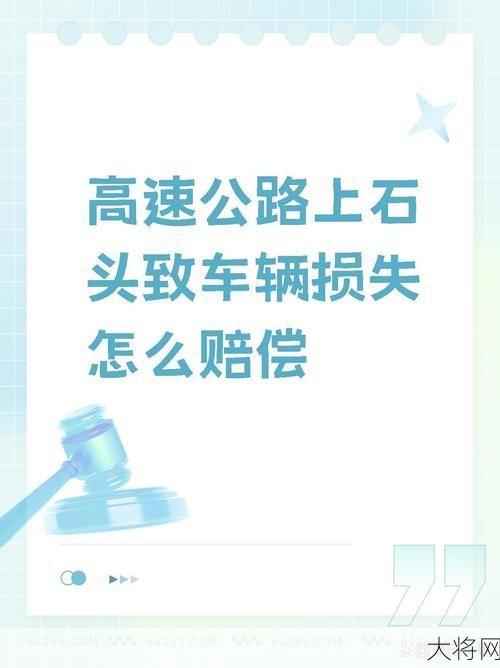 自然灾害车辆损失保险公司赔偿吗？理赔流程详述。-大将网