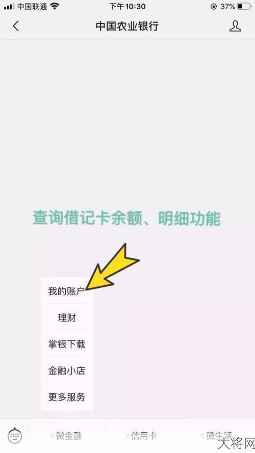 农行卡余额查询新方法，便捷服务指南！-大将网