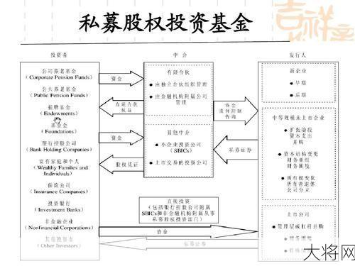 引导基金操作流程与风险控制？-大将网