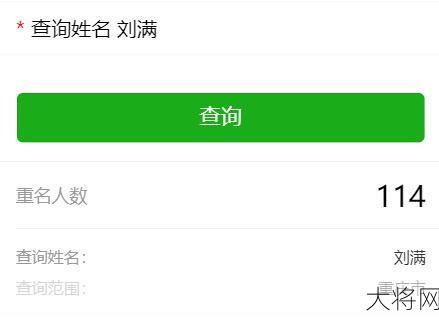 全国重名查询系统使用方法及常见问题解答-大将网