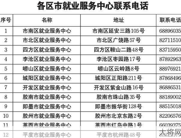 青岛市人力资源和社会保障局官网有哪些服务？如何使用？-大将网