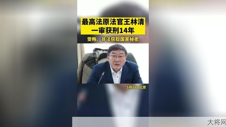 王林清一审获刑14年：曾窃取卷宗的后果是什么？-大将网