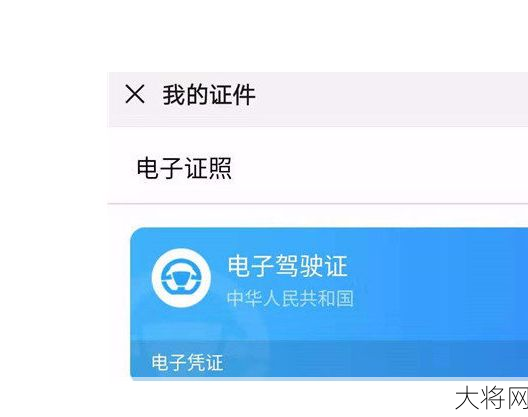 195万人申领电子驾驶证流程是怎样的？有哪些注意事项？-大将网