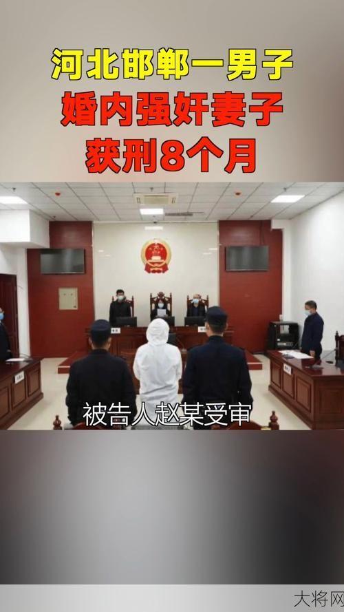 河北男子婚内强奸妻子获刑8个月，如何从法律角度解读？-大将网