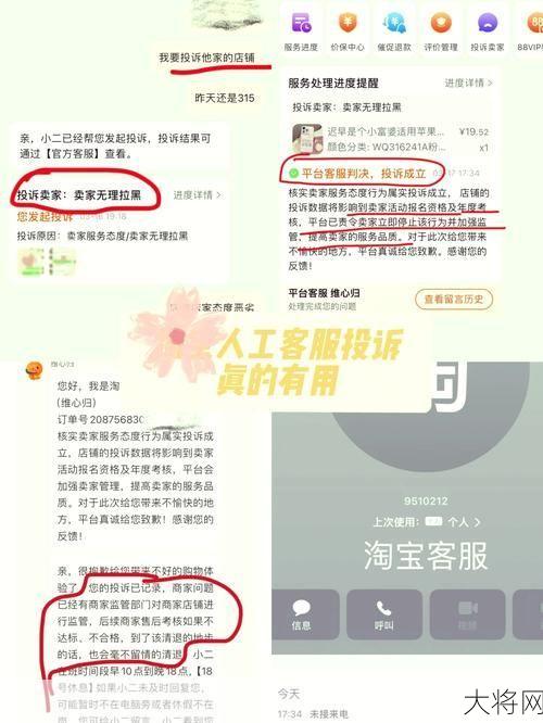 淘宝投诉电话人工服务怎么打？投诉流程揭秘-大将网