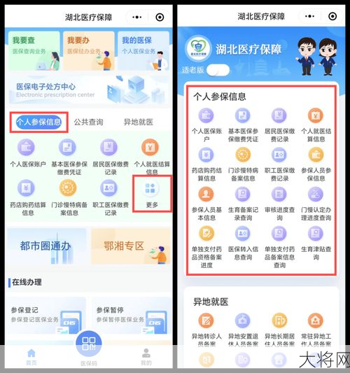 齐齐哈尔医保查询系统使用指南-大将网