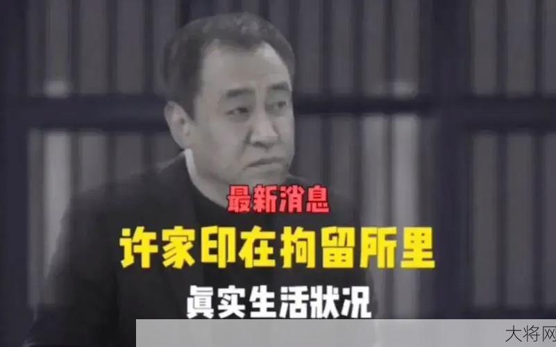 许家印被判几年徒刑？具体案情回顾-大将网